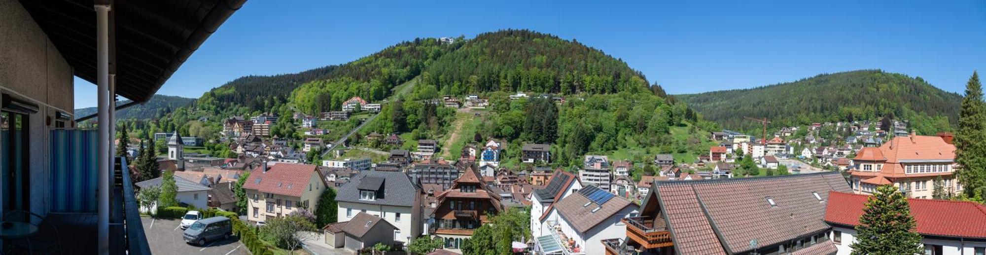 Aparthotel Schwarzwald Panorama Bad Wildbad Room photo